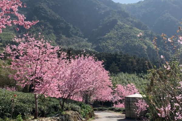 TAIWAN-LINE 9-TAIPEI CENTRAL TOUR HILLTOP HOMESTAY 5D4N