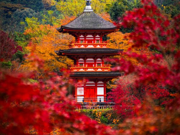 OSAKA-KYOTO HERITAGE TRAILS 5D4N